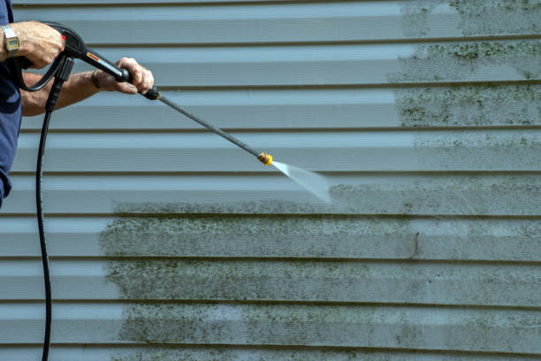 Best Exterior Home Cleaning  in North Pearsall, TX